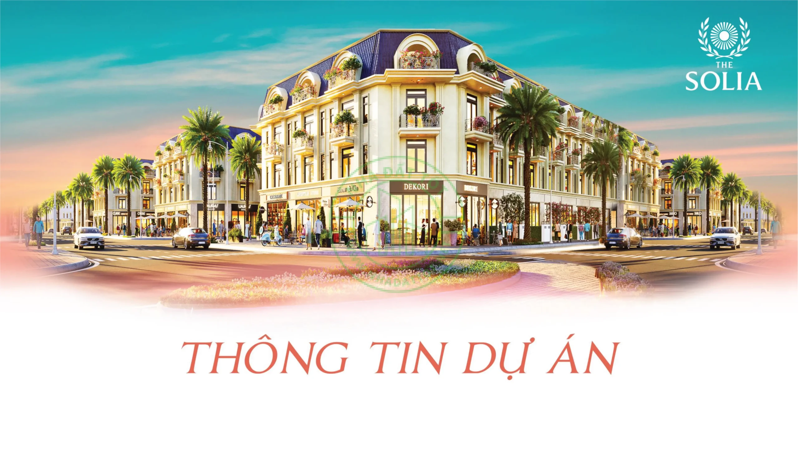 Thiết kế the solia -01
